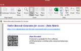 Access Data Matrix Barcode Generator screenshot