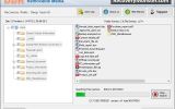 Salvage Removable Media Files screenshot