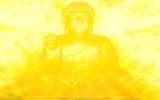 Amitabha The Infinite Light Buddha screenshot