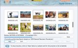 Mac Digital Camera Recovery Tool screenshot