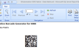 SSRS Data Matrix Barcode Generator screenshot