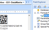 DataMatrix Generator for Crystal Reports screenshot