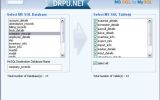 MSSQL to MySQL Conversion Software Ex screenshot