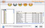 Memory Card Files Undelete screenshot
