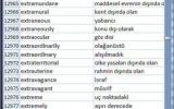 Dictionary Wordlist SQL, Excel, Access screenshot
