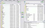 Classic FTP Plus File Transfer Software screenshot