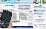 Blackberry Text Messaging Program screenshot