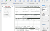 RiDoc screenshot
