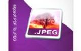 Mgosoft PDF To JPEG SDK screenshot