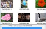 Digital Camera Undelete screenshot