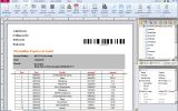 SmartVizor Bill Statement Batch Printing Software screenshot