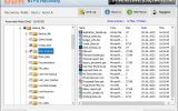 Windows Drive Recovery Software screenshot