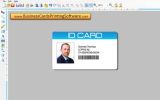 Business Card Sample screenshot