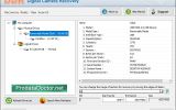 Digital Camera Photo Recovery Software screenshot
