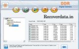 Digital Camera Data Recovery Utilities screenshot