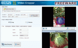 DRPU Video Cropper Freeware Software screenshot